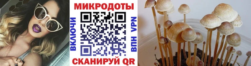Галлюциногенные грибы Psilocybe купить наркотики цена Химки